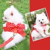 2 Pack Dog Harness and Leash Set Dot Bow Chest