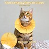 Soft Dog Cone Collar, Dog Cones After Surgery Soft, Flower