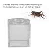 Square Insect Breeding Box Cricket Spider Reptile Insect Square Acrylic