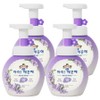 iClean Hand Wash Blooming Purple, 250ml, 4 pcs / 아이깨끗해 핸드워시 블루밍퍼플, 250ml, 4개