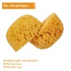 2 Pcs Sponge for Painting, Knockdown Texture Sponge Large Size,