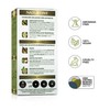NATURTINT Biobased Permanent Hair Colour Ammonia Free 100% Grey Coverage