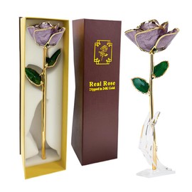 Gold Dipped Mauve Roses - Dipped 24K Gold Real Rose - Genuine One of a Kind - Eternal Romantic Present for Her - Best for Valentine's Day, Mother's Day, Anniversary, Birthday (Lilac)