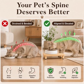 Elevated Cat Food Stand, Ergonomic Neck & Spine Care Cat Food Table Station