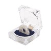 CHI-ENTERPRISE - Premium Massagering für den Finger | Antistress Ring | Akupressur Ring - Anxiety Ring | Inhalt: 1x Antistress Ring (silber/groß) mit Schatulle