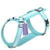 STUCH Y Dog Harness Padded & Adjustable - Dimensionally Stable,