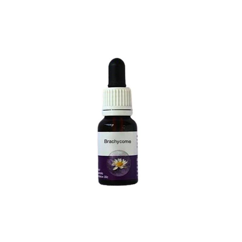 Living Essences Brachycombe 15ml