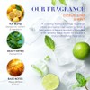 Baylis & Harding Citrus, Lime & Mint Men's Refreshing Essentials