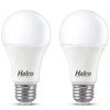 Halco Lighting Technologies universel Garage Door led Bulb (Cool White,