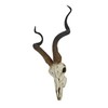 Veronese Design African Kudu Antelope Skull Wall Hanging Cool Twisted