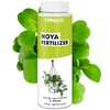 Hoya Fertilizer, Complete Liquid Hoya Plant Food, 8 oz (250mL)