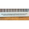 Westcott *12-PACK* Westcott 5" Blunt-Tip Kids' Scissors ANTI-MICROBIAL Ambidextrous 14871