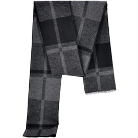 Danax Men's Scarf Cold Weather Cashmere Scarf for Men Wool Soft Thick Warm Scarves for Winter Autumn, H-21