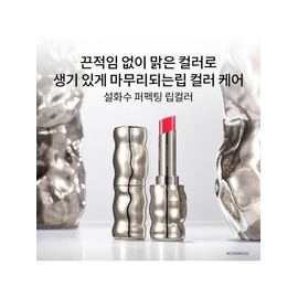 [Common]Perfecting Lip Color 3g / [공통]퍼펙팅 립컬러 3g