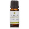 Kaeso Beauty Essential Oil Juniper Berry 10 ml