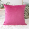 Artscope Luxury Velvet Cushion Covers Decorative Square Pillowcases Soft Solid