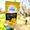Lemoncello Chocolate Covered Almonds Brought to you by Nutic, Produced