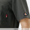 Dickies 7098SC Scrubs