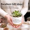 Funny Humorous Saying Planter Pots, Sarcastic I Don't Know Where