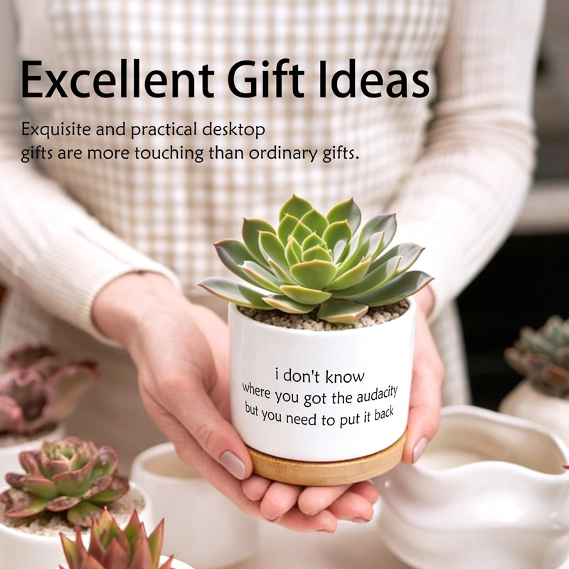 Funny Humorous Saying Planter Pots, Sarcastic I Don't Know Where