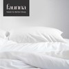 FAUNNA 600TC 100% Cotton Pillow Protectors, Queen Size (20x30), 4