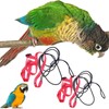 2pcs Adjustable Harness for Parrots Bird Harness Lead for Outdoor
