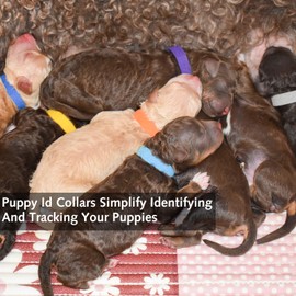15 Colors Puppy ID Collars, Whelping Puppies ID Bands, Double-Sided Soft Adjustable Pet Dog Cat Collars