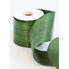 Ti Leaf Aspidistra Variegated Ribbon, Solid Green, 4-inch, 50-yard