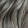 Light Gray Single Hair Color Sample