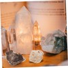 BUGUUYO 10pcs Mineral Rock Specimen Display for Teaching Irregular Stones