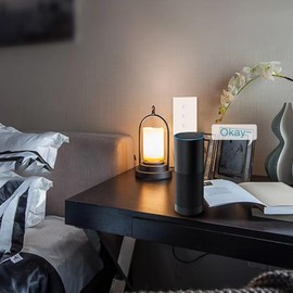 Snblzhef 2 Channel Tuya Zigbee Smart Wifi Electric Linear Actuator Motor Controller DC/AC 7-32V Smart Switch