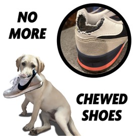 Chew Drip Shoe Realistic Sneaker Heavy-Duty Tough Dog Toy Aggressive Chewers, Small, Medium, Large Dogs Dandelion Yellow Chicken