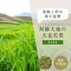 nichie 大麦若葉 青汁 熊本産 100% パウダー 400g