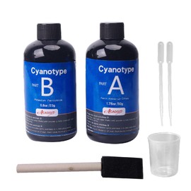 Cyanotype Sensitizer Kit, 16oz Cyanotype Kit, Sun Print Nature Printing Kit for Photographic Blueprints DIY Arts Crafts Projects (Cyanotype kit-1)