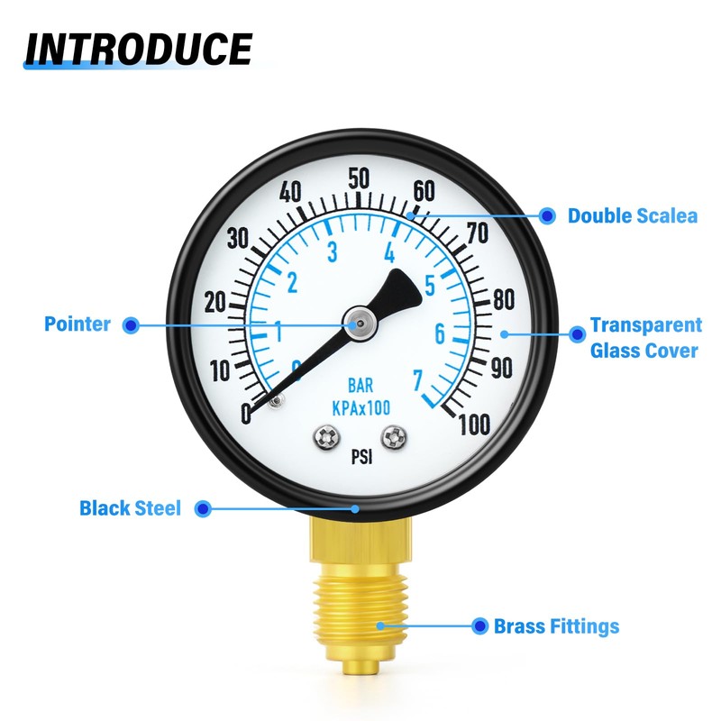 TAILONZ PNEUMATIC 0-7 Bar 2" DIAGRAM 1/4" BSP Well Pump