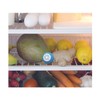 Two Anti-Odour Balls for the fridge