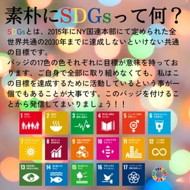 SDGs Badge Pin Badge (1 Piece), Pin Batch, Lapel Pin (1.0 inch (25 mm), Cloisonne Batch, Gold, Bright, 3 Fasteners, Perfect for Hats, Bags, Cute, Golden)
