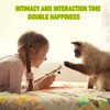 BAWAN Catnip Toys‖ Silvervine for Cats: Cute Cat & Kitten
