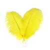 Happy Feather 16-18 inch Yellow Ostrich Feathers Craft for Wedding