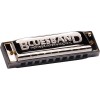 Play Today Harmonica Kit