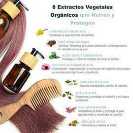 Herbatint - Tinte Permanente Natural Sin Amoníaco 150 ml - Color FlashFashion Ciruela/Plum FF3