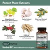Herbal-BP Natural Blood Pressure Supplement - Supports Circulatory Health |
