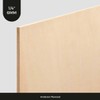 6MM 1/4" x 12 x 12 Baltic Birch Plywood B/BB