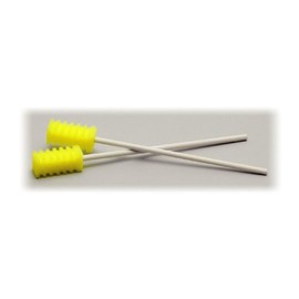 Members Oral Sponge Brush