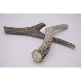 Mountain Dog Chews - Large Whole Deer Antler 2 Pack - Deer Antler Dog Chew - Grade A Premium - Organic - Made in USA - No Mess