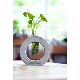 Greenology GR-131 (SMALL) Mini Vase Flower Base Test Tube, 1.6 x 4.8 x 4.8 inches (4 x 12.3 x 12.1 cm)