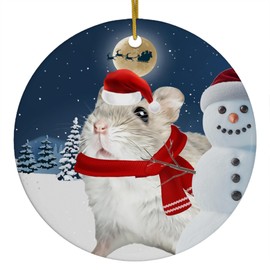 Festive Winter Night Pet and Snowman Ornament - Djungarian Hamster Christmas Ornament Circle Ceramic - Funny Holiday Xmas Tree Decoration Gifts for Hamster Lovers