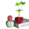 Red Apple-Shaped Ceramic Pot Novelty Succulent Planter Small Flowerpot Air