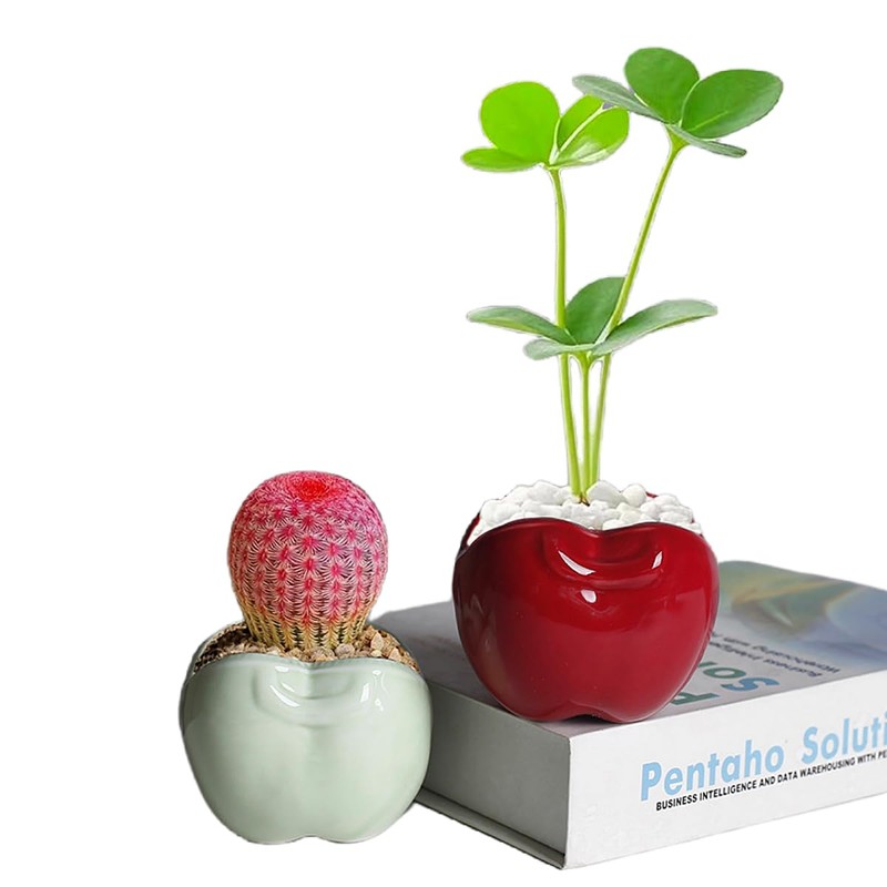 Red Apple-Shaped Ceramic Pot Novelty Succulent Planter Small Flowerpot Air