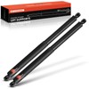 A-Premium Rear Tailgate Lift Supports Shock Struts Compatible with Select